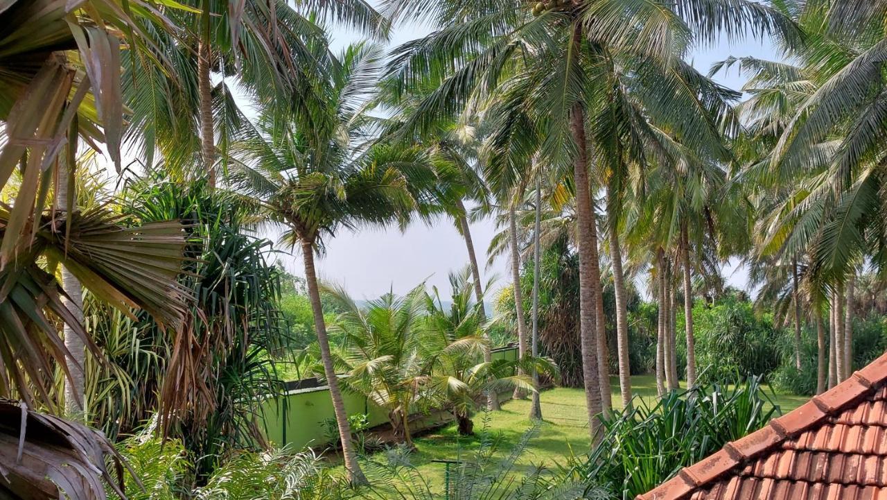 Bandulas Beach House ヒッカドゥワ エクステリア 写真